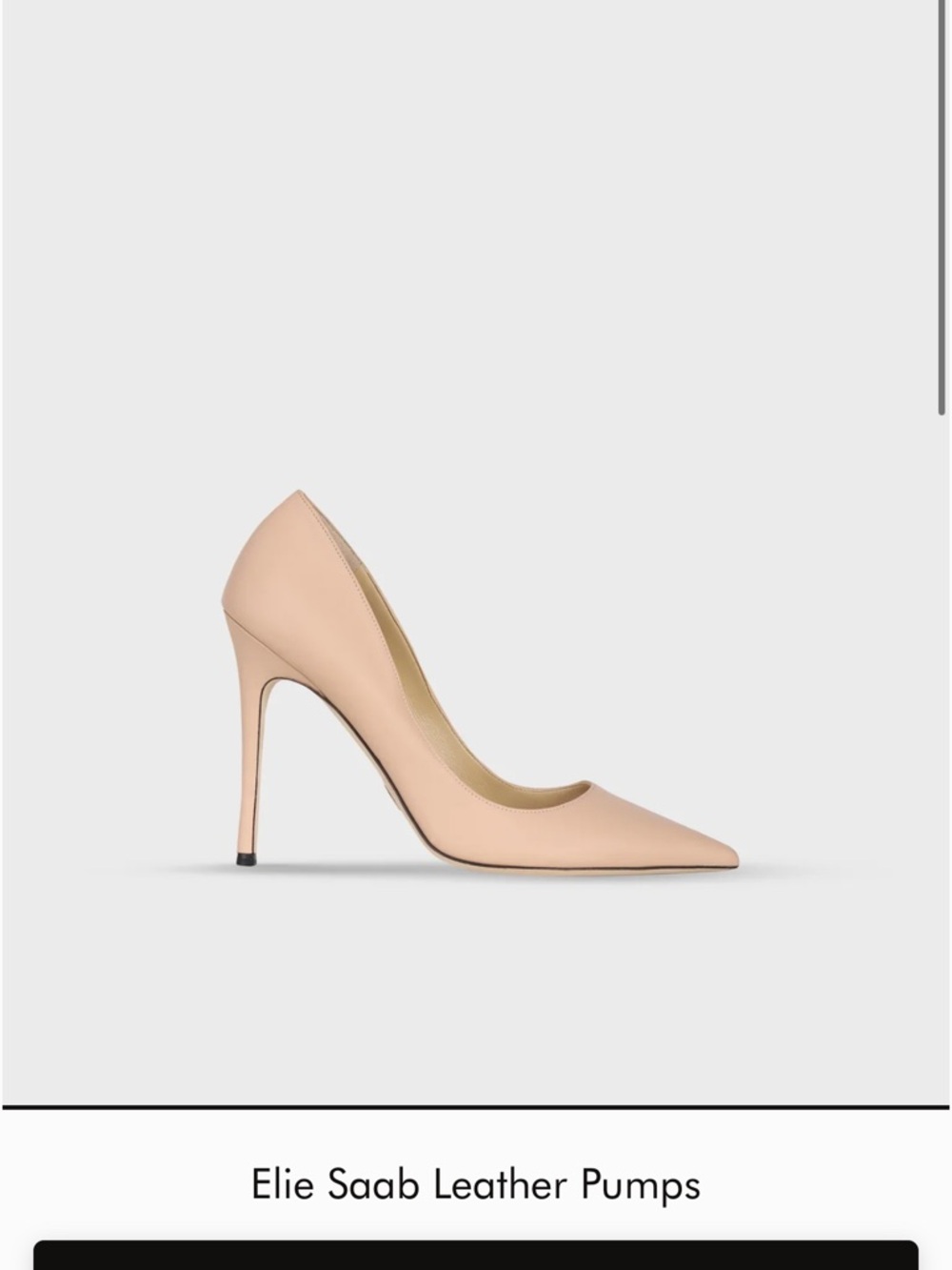 Elie Saab Blush Leather Pointed-Toe Stiletto Pumps